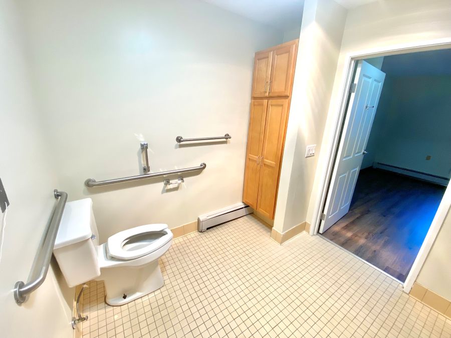 Toilet and cabinet storage in bathroom