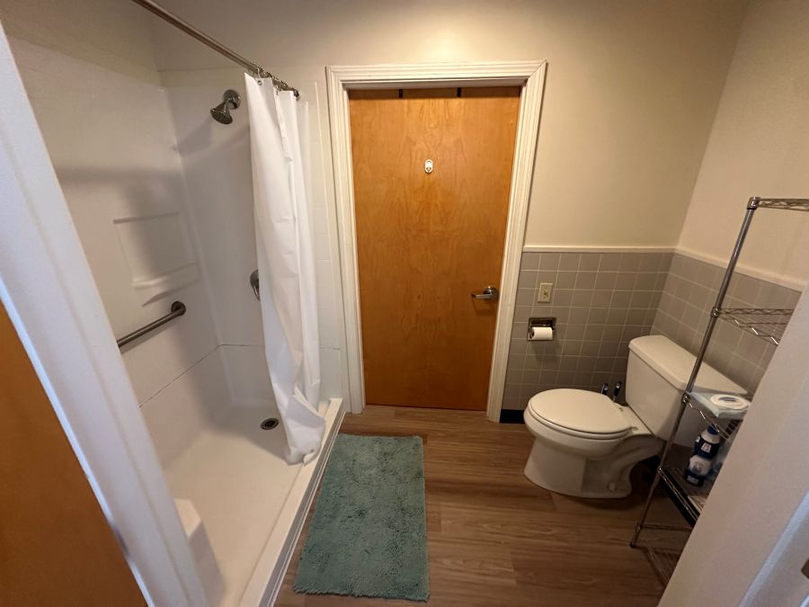 Shower and toilet in the bathroom